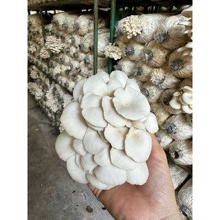 Chìa khoá tủ