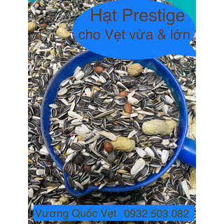 Hạt trộn Bỉ Prestige cho Vẹt lớn gói 1kg
