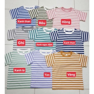 Áo phông kẻ Muji dư xịn