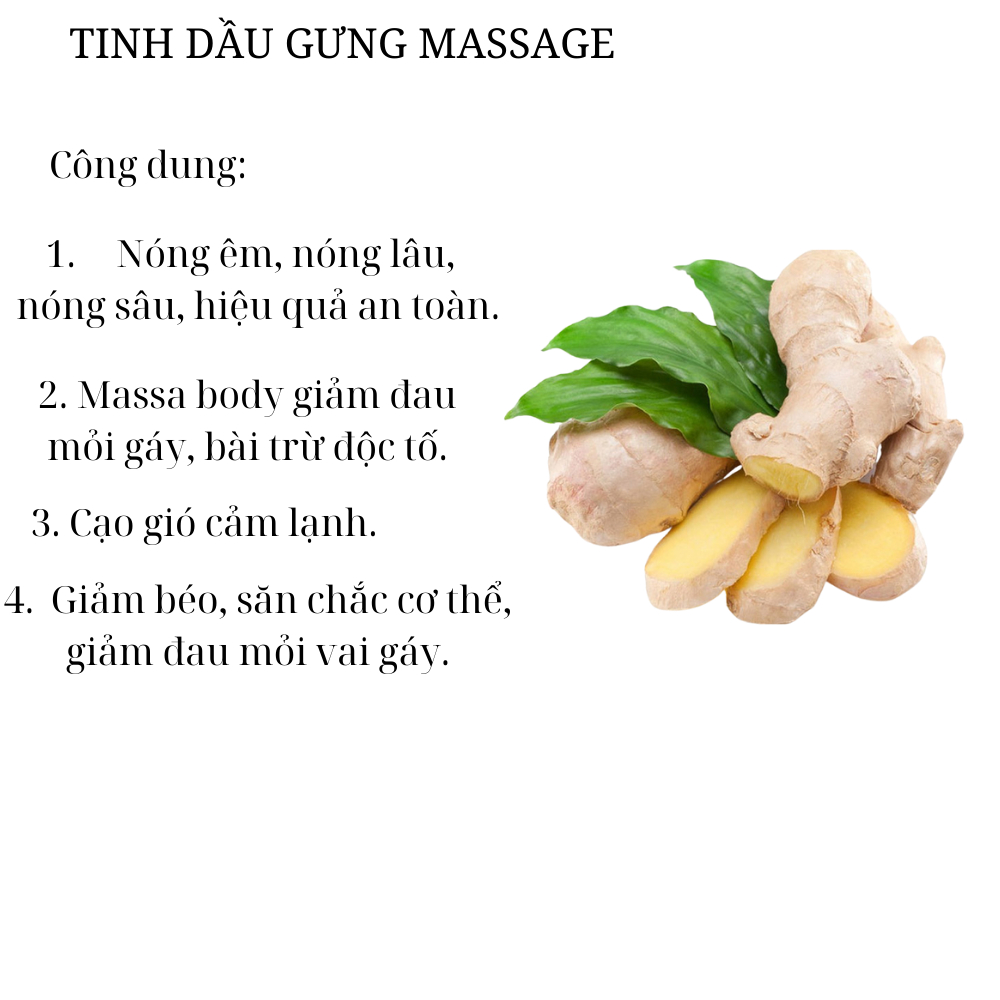 Tinh dầu gừng non (1000ml) massage cơ thể, với thành phần tự nhiên từ ngải cứu