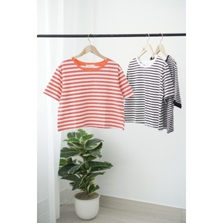 Ảnh chụp thật - áo thun nữ kẻ sọc dáng lửng phối viền, áo thun sọc croptop vải cotton mịn đẹp