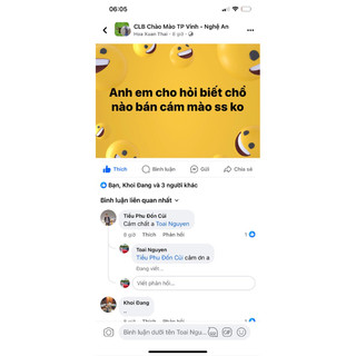 cám kích đẻ cho chào mào
