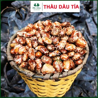 Hạt thầu dầu tía kích mọc tóc 100g