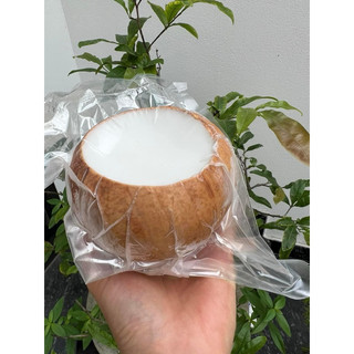 Thạch dừa xiêm xúc nguyên quả