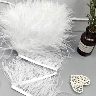 Lông Đà Điểu Dài 10-15cm Loại 1 Trang Trí