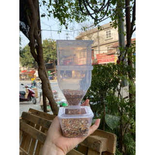 Cóng ăn chống vảy gà tre,cu gáy,nuôi avi