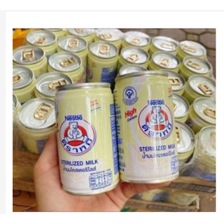 Sữa gấu Nestle Thái Lan