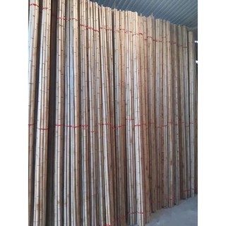 100 cây tre trúc dài 1,5m, 1,8m, 2m, đường kính 2,5cm-3cm