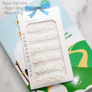 Set trai nửa trắng mix size/trang trí móng