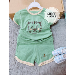 [Lullaby]Bộ cộc tay cho bé.