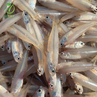 [HỎA TỐC] Cá Cơm Tươi VITOT Giàu Chất Dinh Dưỡng