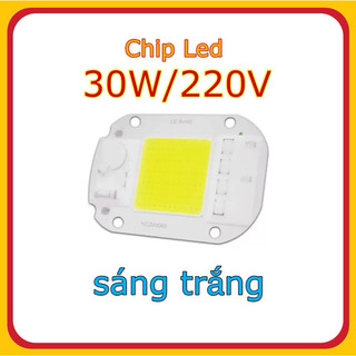 Chip bóng đèn LED 30W /220V ánh sáng trắng dùng để tự làm đèn pha chiếu sáng ngoài trời