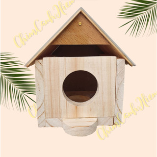 Tổ đẻ, ổ đẻ chim Yến Phụng, chim yến mái nhà đẹp dễ thương cao cấp