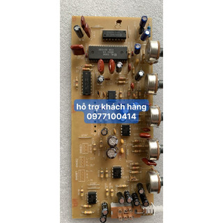 bo vang mới 203N.