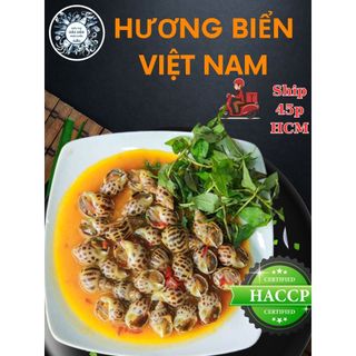 Hỏa tốc - ốc hương biển việt nam