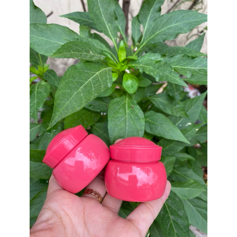 combo 10 Hủ đựng kem face 6g ( Hủ thỏ)