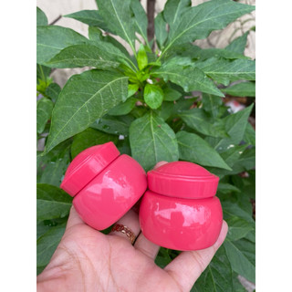 combo 10 Hủ đựng kem face 6g ( Hủ thỏ)