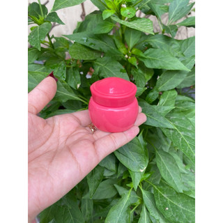 combo 10 Hủ đựng kem face 6g ( Hủ thỏ)