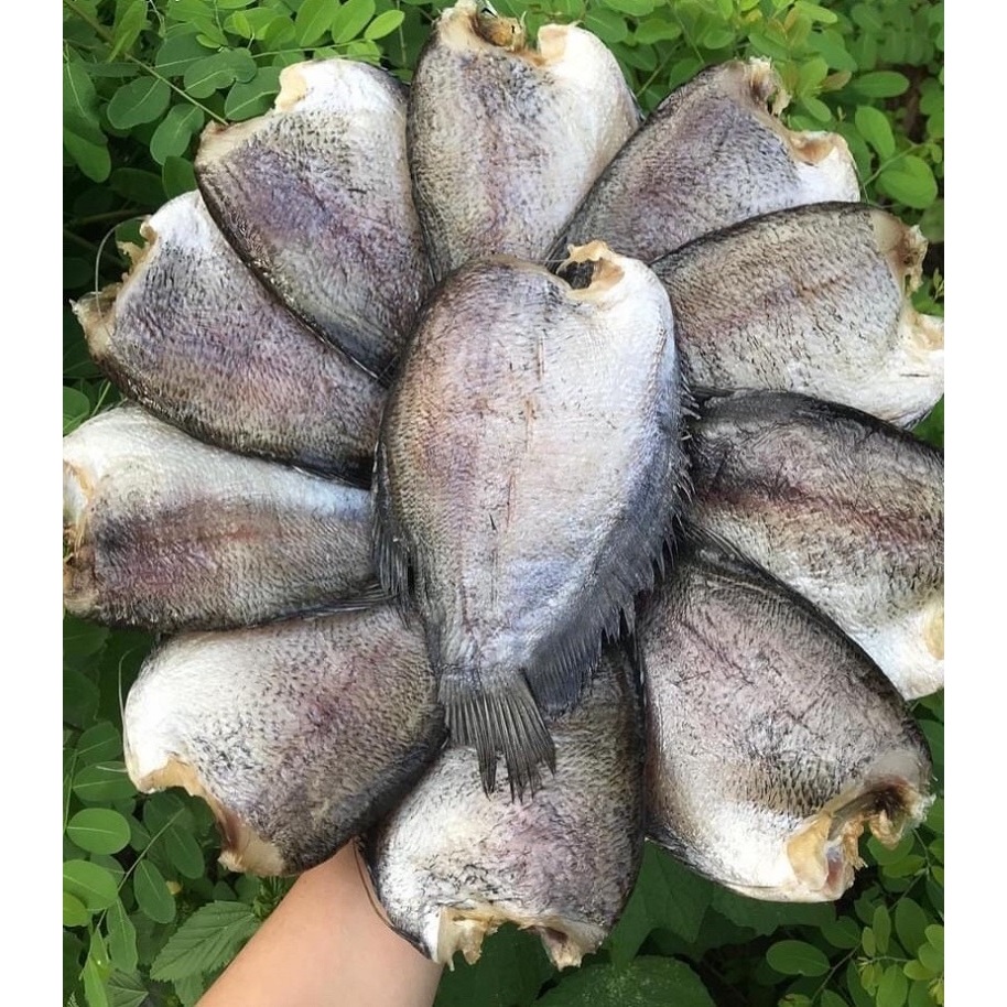 Khô cá sặc - Giá Tốt, Miễn Phí Vận Chuyển, Đủ Loại | Shopee Việt Nam