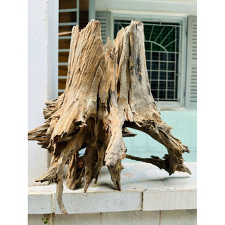 Lũa gỗ setup hồ thuỷ sinh - tiểu cảnh - decor ship hoả tốc tphcm
