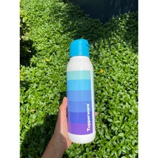 Bình Nước Eco Bottle Fancy 750ml