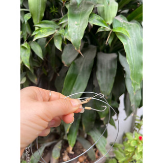 Bộ lưỡi cáp câu lươn, câu cá tra