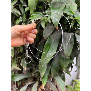 Bộ lưỡi cáp câu lươn, câu cá tra