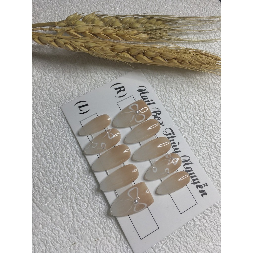 Nailbox ombrre thạch nul,nơ