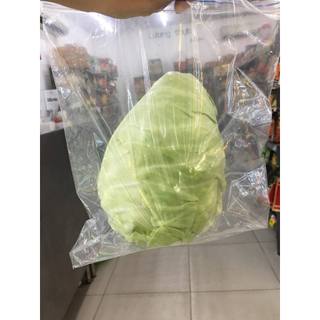 2 hộp Túi zipper thực phẩm Coop Select size L 20 túi