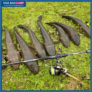 Cần lure daiwa tornado x - 2023 | 2 khúc