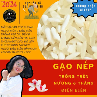 Gạo nếp nương người mông điện biên- htx quà điện biên