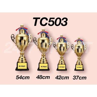 Cúp Lưu Niệm Bóng đá giá rẻ FREE thiết kế in ấn nội dung giải theo yêu cầu.