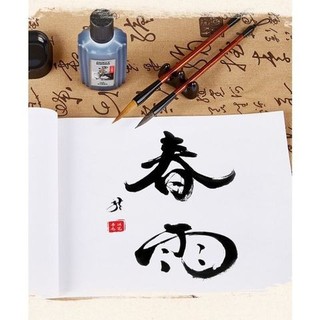 Mực viết thư pháp, mực tàu baoke ms216 dung tích 120ml - mực đen