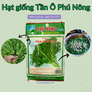 Hạt giống Tần Ô Phú Nông (Vườn Sài Gòn - Vuon Sai Gon) hạt giống chắc khỏe, tỉ lệ nẩy mầm cao
