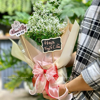 Gói quà tặng cho cây nhỏ JUN GARDEN