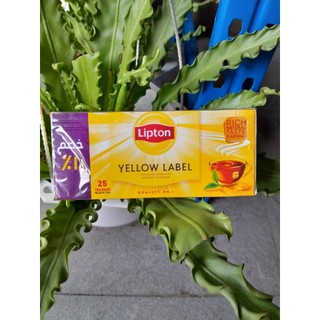 Trà túi lọc lipton 25 gói