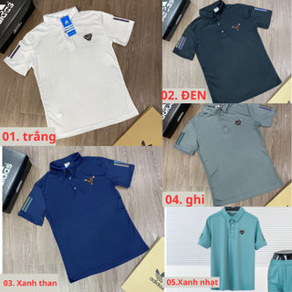 Áo thun nam cổ bẻ thể thao, áo polo cổ bẻ vải thun lạnh cao cấp co dãn 4 chiều mặc thoáng mát form chuẩn vnxk cao cấp