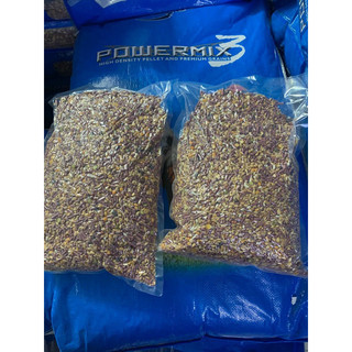 NGỦ CỐC SALTO.. (5KG )thức ăn dinh dưỡng cho gà từ 6tháng trở lên, ( Gà nọc)