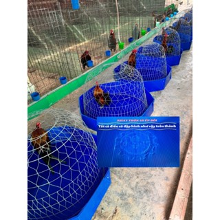 KHAY ÚP BỘI ,KHAY LÓT BỘI,KHAY TRÒN 4LI ÚP BỘI TRÒN,