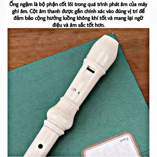 Sáo Recoder 8 Lỗ _ Tặng túi bảo vệ