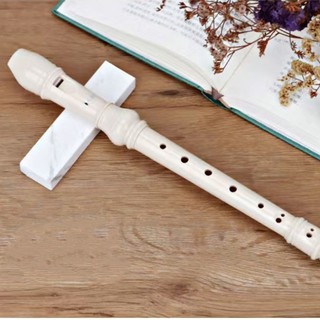 Sáo recoder 8 lỗ _ tặng túi bảo vệ