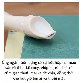Sáo Recoder 8 Lỗ _ Tặng túi bảo vệ