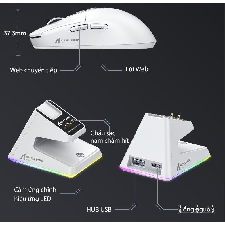 [BH 6t] Chuột Bluetooth Không Dây Chip PAW3395 Attack Shark X6 Dock Sạc RGB Không Dây Siêu Nhẹ | BigBuy360 - bigbuy360.vn