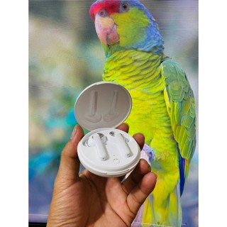 Tai nghe Bluetooth True Wireless Oppo Enco W31 - Hàng Chính Hãng