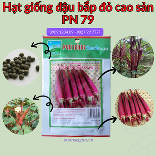 Hạt Giống Đậu Bắp Đỏ Phú Nông hạt giống chắc khỏe, tỉ lệ nẩy mầm cao (Vườn Sài Gòn)