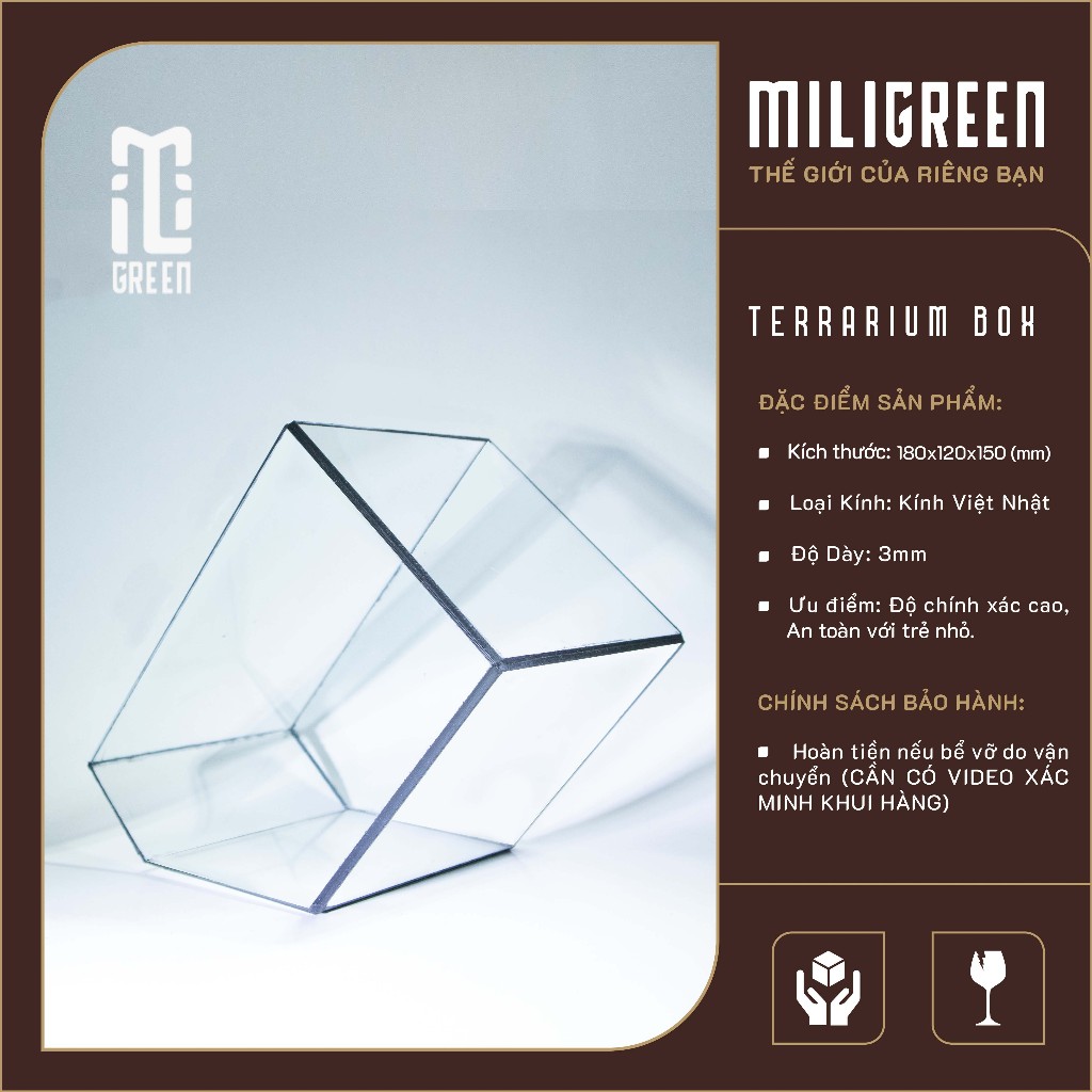 , Bình kính Terrarium, Bể kính Terrarium, Bể kính, Trang trí Terrarium, Setup bàn làm việc.