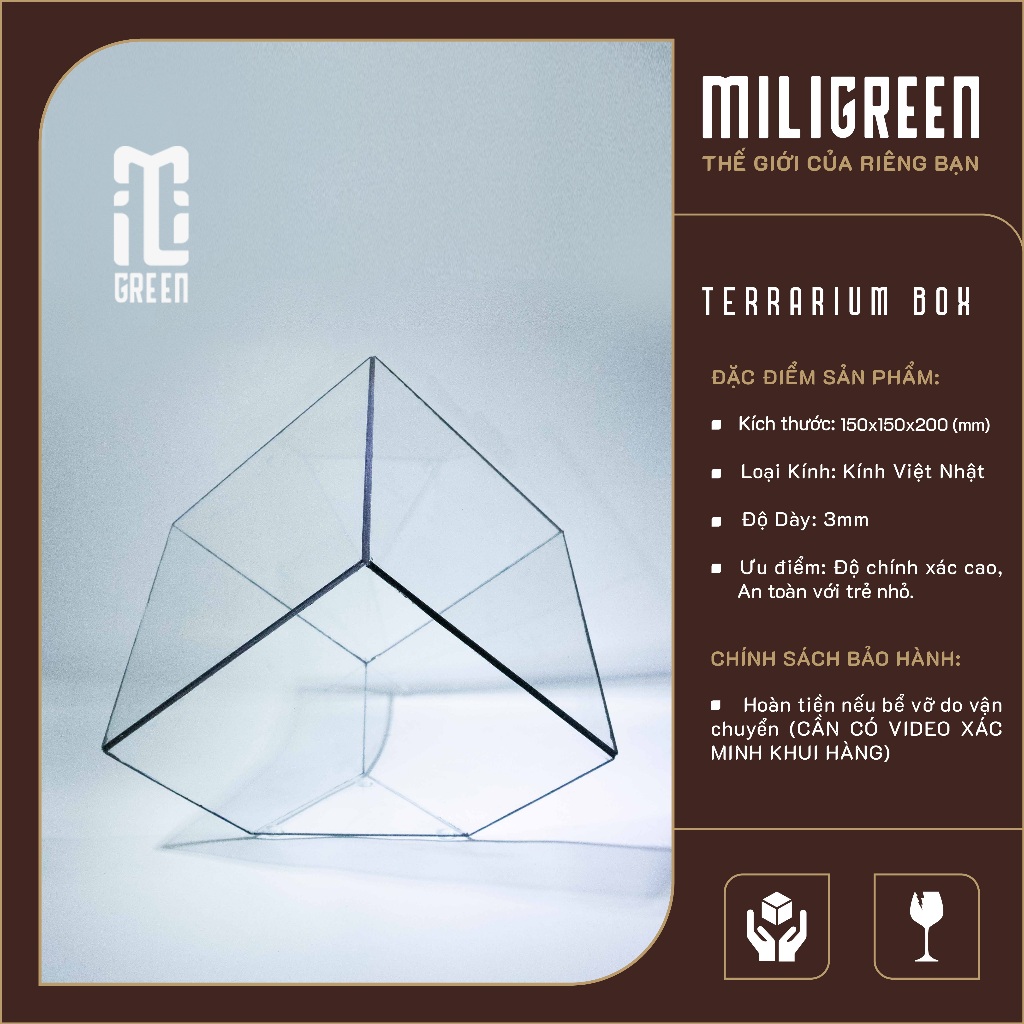 , Bình kính Terrarium, Bể kính Terrarium, Bể kính, Trang trí Terrarium, Setup bàn làm việc.