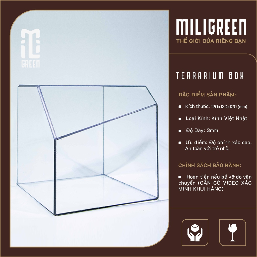 , Bình kính Terrarium, Bể kính Terrarium, Bể kính, Trang trí Terrarium, Setup bàn làm việc.