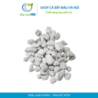 Vật liệu lọc Matrix Seachem chính hàng lọc nước bể cá cảnh