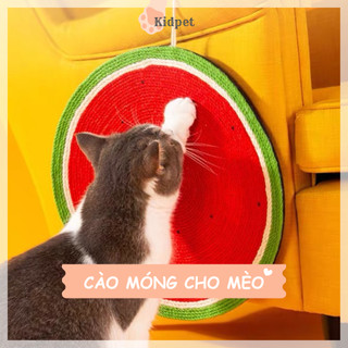 Bàn cào móng cho mèo kidpet thảm đồ chơi cây cào móng cho thú cưng